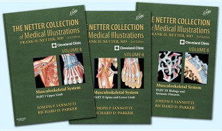 Książka Netter Collection of Medical Illustrations: Musculoskeletal System Package Joseph P. Iannotti