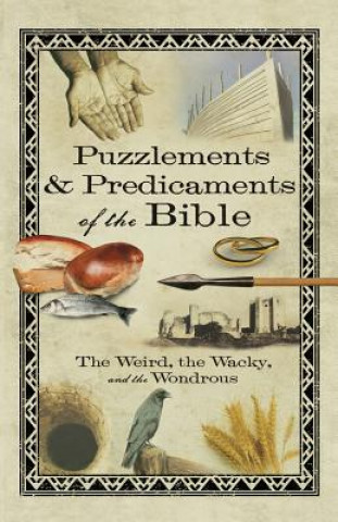 Kniha Puzzlements & Predicaments of the Bible Linda Washington