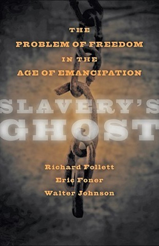 Kniha Slavery's Ghost Richard Follett