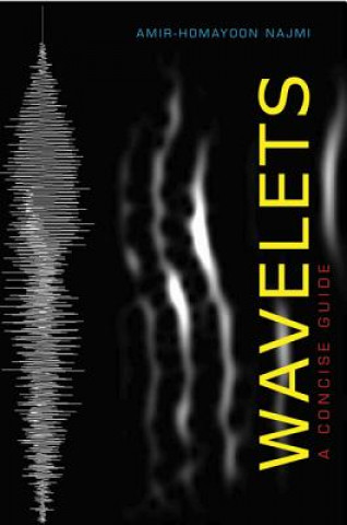 Knjiga Wavelets Amir-Homayoon Najmi