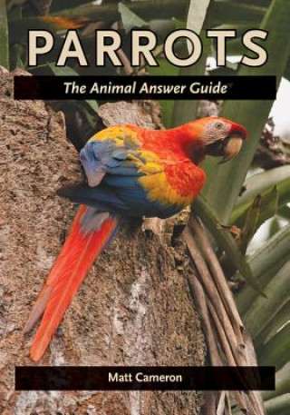 Kniha Parrots Matt Cameron