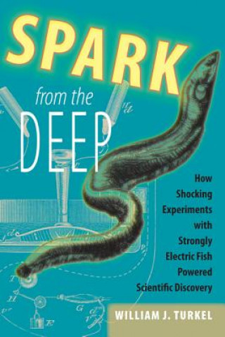 Boek Spark from the Deep William J. Turkel