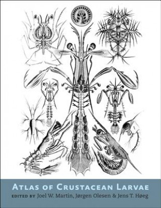 Könyv Atlas of Crustacean Larvae Joel W. Martin