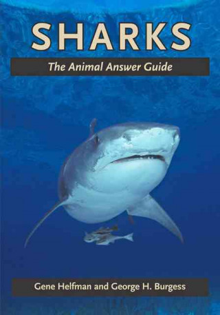Könyv Sharks Gene S. Helfman
