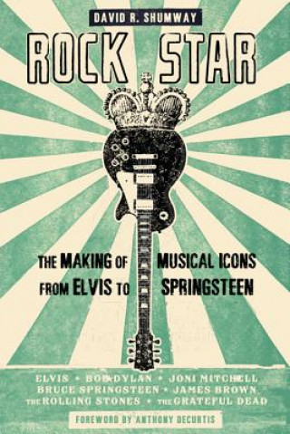 Buch Rock Star David R. Shumway
