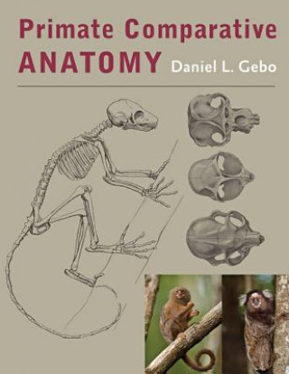 Kniha Primate Comparative Anatomy Daniel L. Gebo