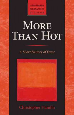 Libro More Than Hot Christopher Hamlin