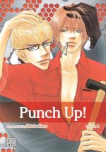 Könyv Punch Up!, Vol. 1 Shiuko Kano