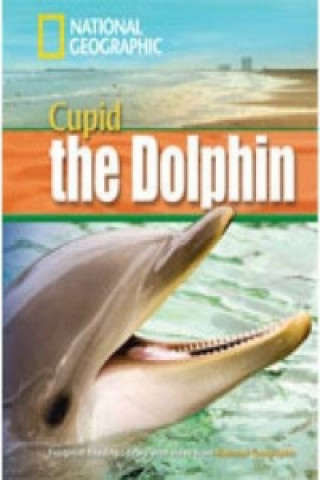Książka Dolphin Named Cupid Rob Waring