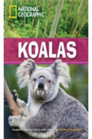 Kniha Koalas Rob Waring