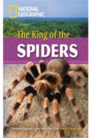 Kniha King of the Spiders Rob Waring