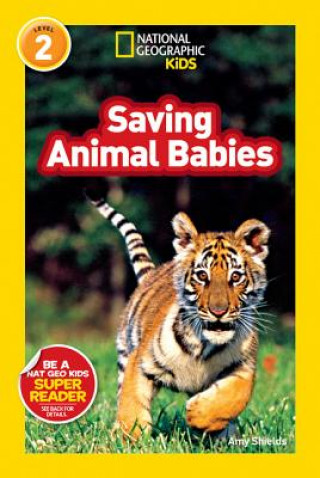 Książka National Geographic Kids Readers: Saving Animal Babies Amy Shields
