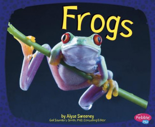 Buch Frogs Alyse Sweeney