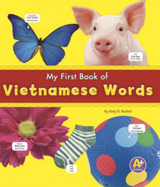 Carte Myfirst Book of Vietnamese Words Katy R. Kudela
