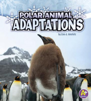 Carte Polar Animal Adaptations (Amazing Animal Adaptations) Lisa Amstutz