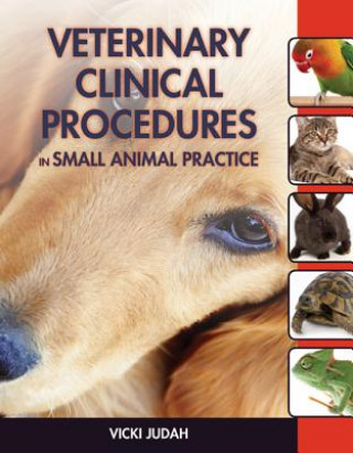 Könyv Veterinary Clinical Procedures in Small Animal Practice Wfh