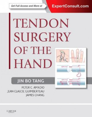 Könyv Tendon Surgery of the Hand Jean Claude Guimberteau