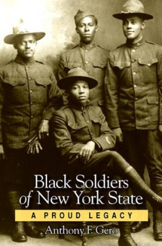 Buch Black Soldiers of New York State Anthony F. Gero