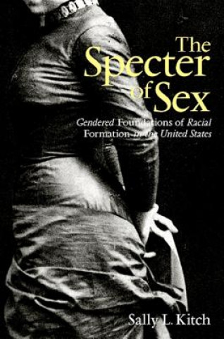 Kniha Specter of Sex Sally L. Kitch