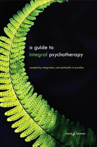 Knjiga Guide to Integral Psychotherapy Mark D. Forman