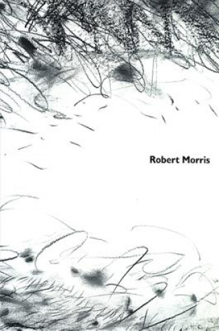 Kniha Robert Morris Samuel Dorsky Museum of Art