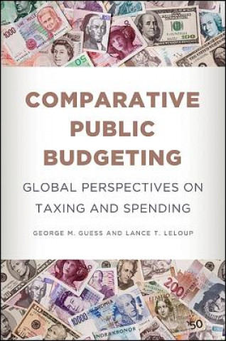 Kniha Comparative Public Budgeting George M. Guess
