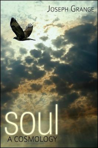Könyv Soul Joseph Grange