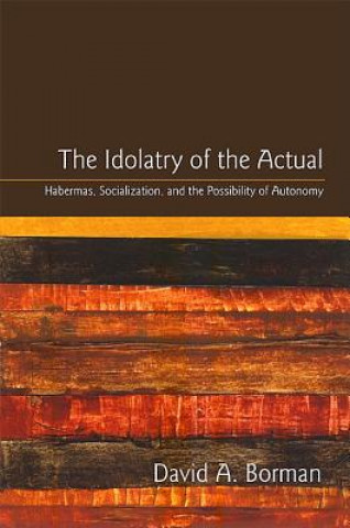 Книга Idolatry of the Actual David A. Borman