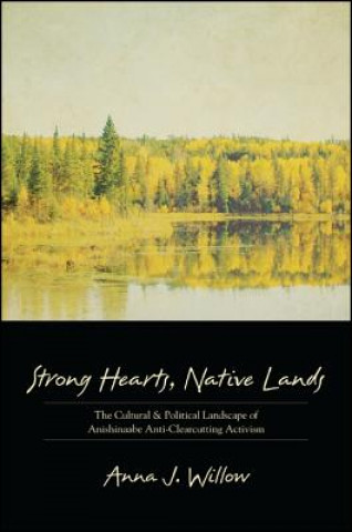 Kniha Strong Hearts, Native Lands Anna J. Willow