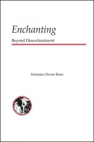 Book Enchanting Stephen David Ross