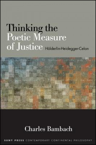 Knjiga Thinking the Poetic Measure of Justice Charles R. Bambach