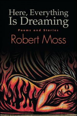 Kniha Here, Everything is Dreaming Robert Moss