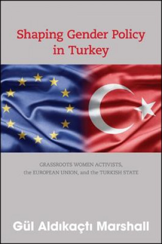Kniha Shaping Gender Policy in Turkey Gul Aldikacti Marshall