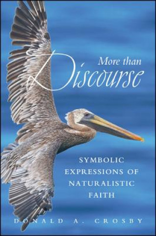 Carte More Than Discourse Donald A. Crosby