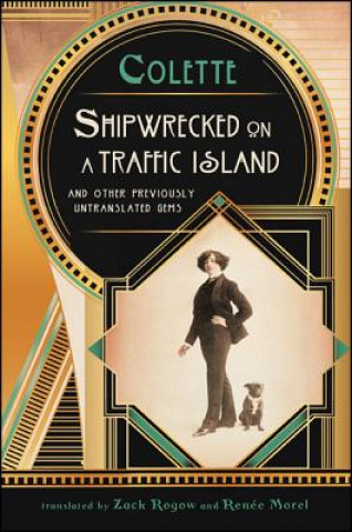 Kniha Shipwrecked on a Traffic Island Colette