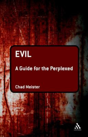 Buch Evil: A Guide for the Perplexed Chad Meister
