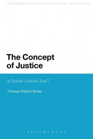 Libro Concept of Justice Thomas Patrick Burke