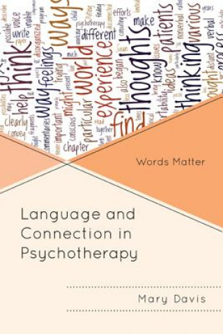 Kniha Language and Connection in Psychotherapy Mary H. Davis