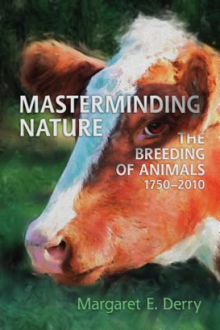 Könyv Masterminding Nature Margaret E. Derry
