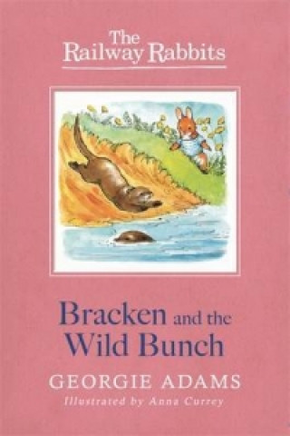Könyv Railway Rabbits: Bracken and the Wild Bunch Georgie Adams