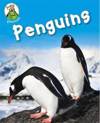 Knjiga Froglets: Learners: Penguins Annabelle Lynch