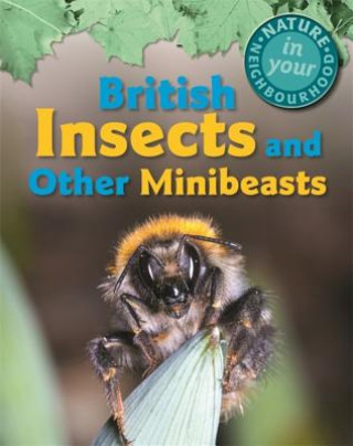 Könyv Nature in Your Neighbourhood: British Insects and other Minibeasts Clare Collinson