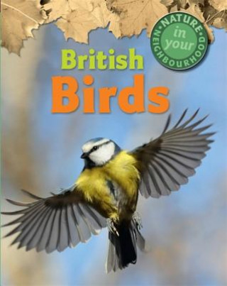 Książka Nature in Your Neighbourhood: British Birds Clare Collinson