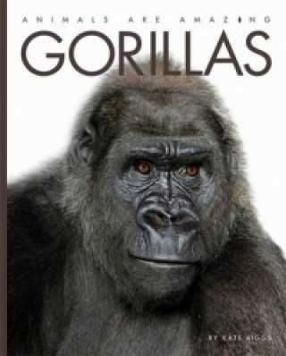 Livre Animals Are Amazing: Gorillas Kate Riggs