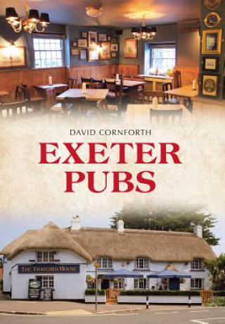Carte Exeter Pubs David E. Cornforth