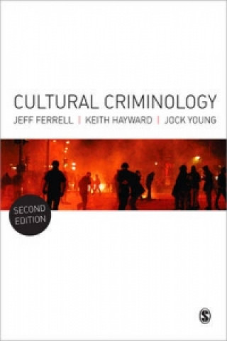 Buch Cultural Criminology Jock Young