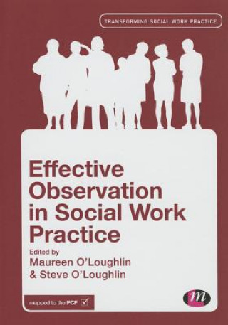 Kniha Effective Observation in Social Work Practice 