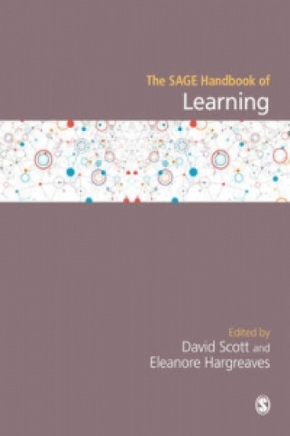 Kniha SAGE Handbook of Learning 