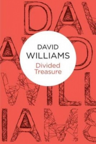 Kniha Divided Treasure David Williams