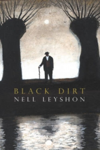 Kniha Black Dirt Nell Leyshon